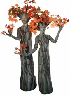 Autumn Maple Tree Duo - Imgur