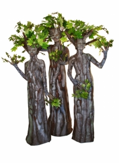 Green Maple Tree Trio - Imgur