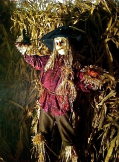 Scary Scarecrow 2 - Imgur