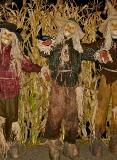 Scary-Scarecrow-Trio---Imgura