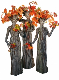 Autumn Maple Tree Trio - Imgur