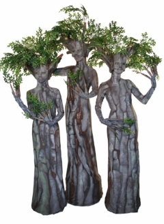 Green Oak Tree Trio - Imgur