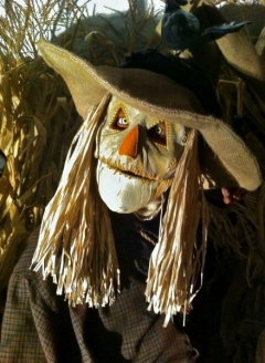 Scary Scarecrow - Imgur
