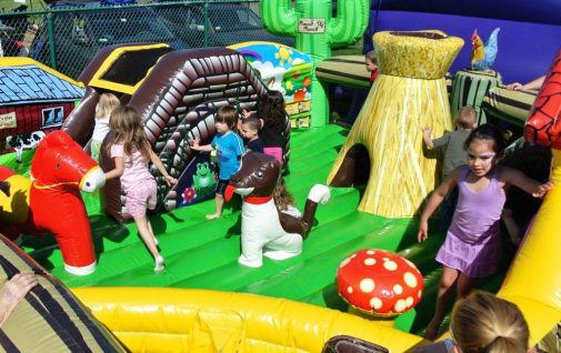 boston_party_entertainment_inflatables_My Little Farm_3