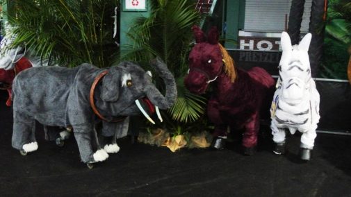 boston_party_entertainment_inflatables_Safari Ride Along - 4 Animals_2