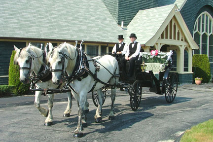 boston_party_entertainment_variety_performers_ Horse Drawn Carriage Ride (3 Hours)_1